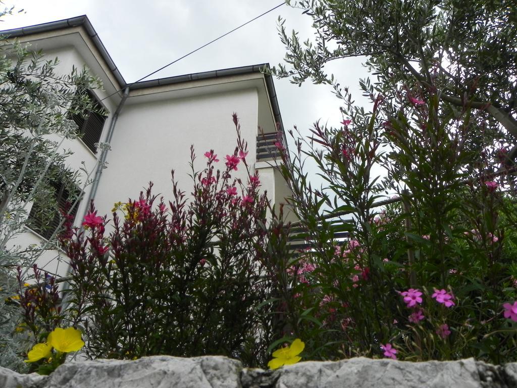 Apartments Katalenic Selce Exterior foto